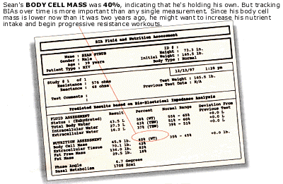 lab report